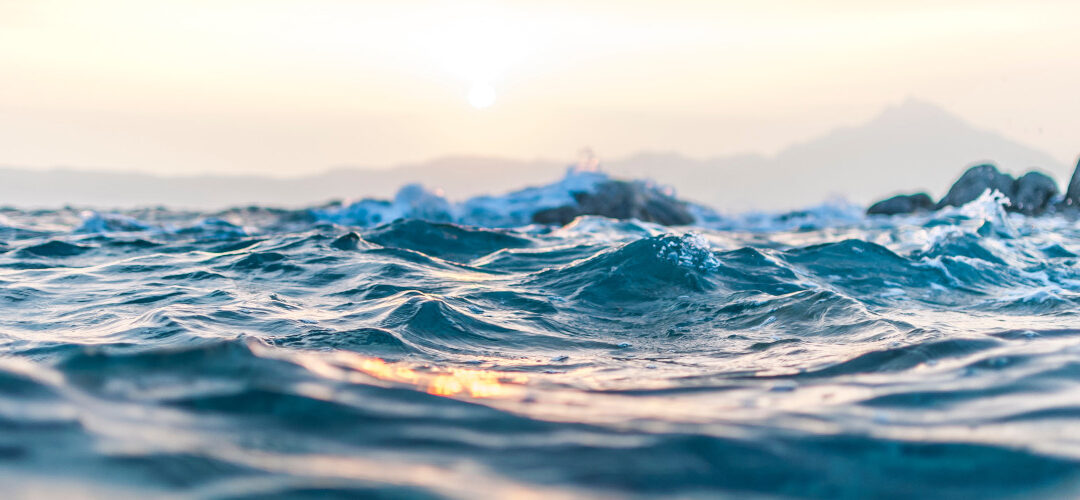 Светски дан вода